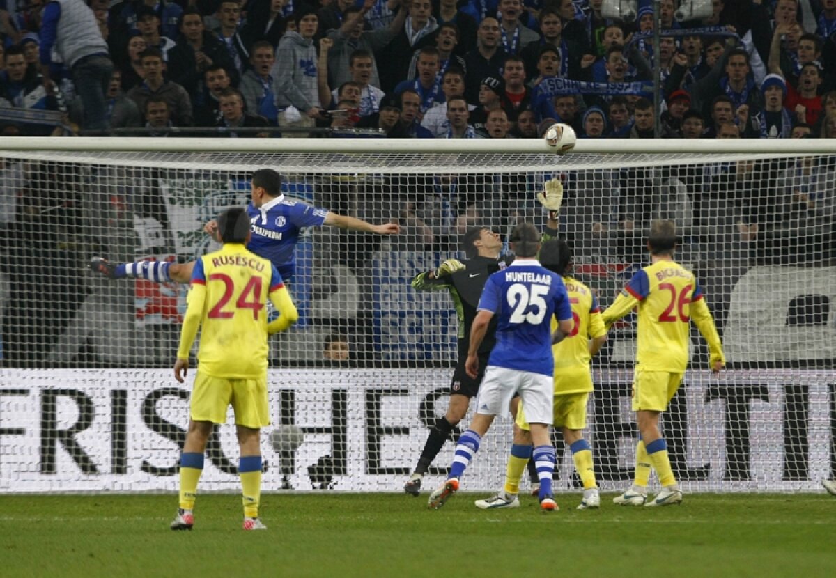 VIDEO Mai respirăm, dar greu » Calificarea Stelei se joacă peste două săptămîni » Citeşte aici cronica de la Schalke - Steaua 2-1, scrisă de Marius Mărgărit »