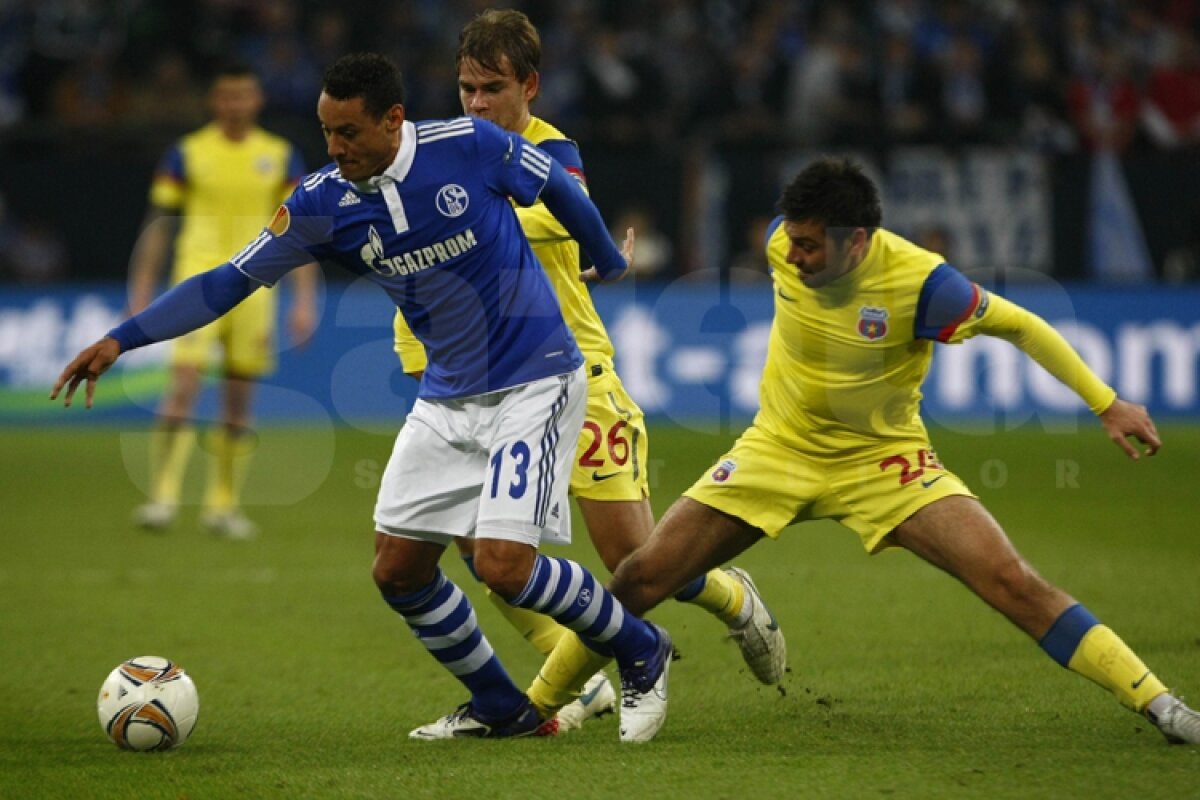 VIDEO Mai respirăm, dar greu » Calificarea Stelei se joacă peste două săptămîni » Citeşte aici cronica de la Schalke - Steaua 2-1, scrisă de Marius Mărgărit »