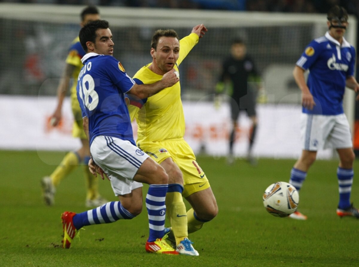 VIDEO Mai respirăm, dar greu » Calificarea Stelei se joacă peste două săptămîni » Citeşte aici cronica de la Schalke - Steaua 2-1, scrisă de Marius Mărgărit »