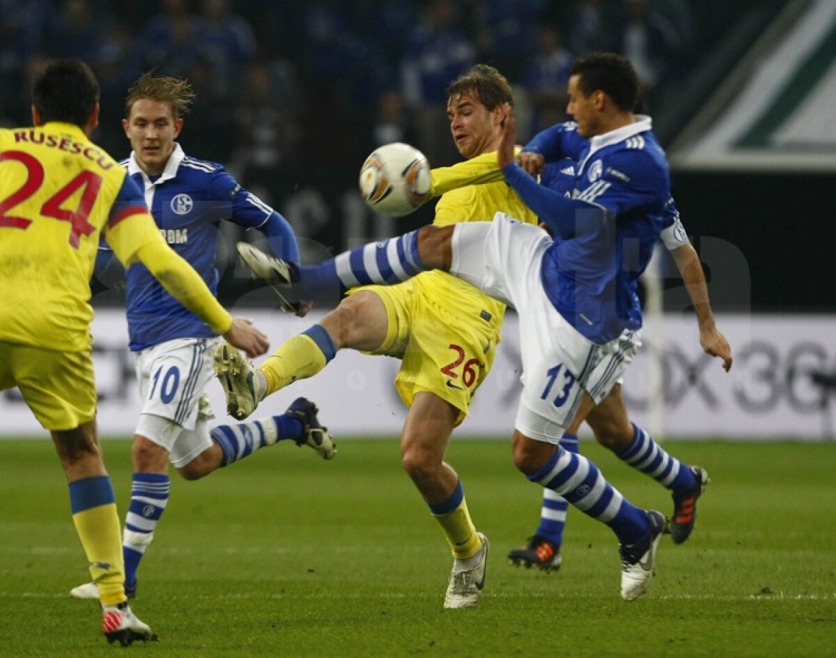 VIDEO Mai respirăm, dar greu » Calificarea Stelei se joacă peste două săptămîni » Citeşte aici cronica de la Schalke - Steaua 2-1, scrisă de Marius Mărgărit »