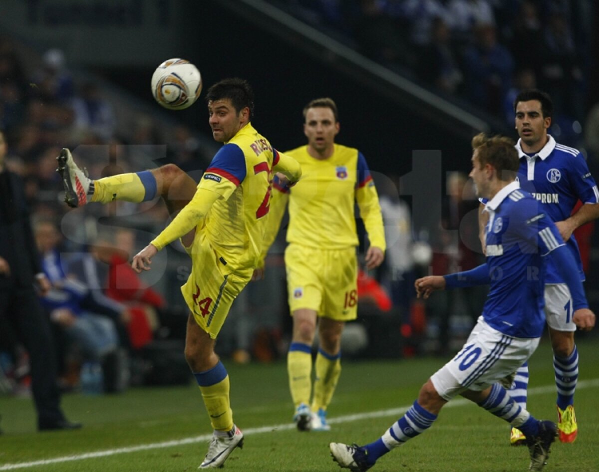 VIDEO Mai respirăm, dar greu » Calificarea Stelei se joacă peste două săptămîni » Citeşte aici cronica de la Schalke - Steaua 2-1, scrisă de Marius Mărgărit »
