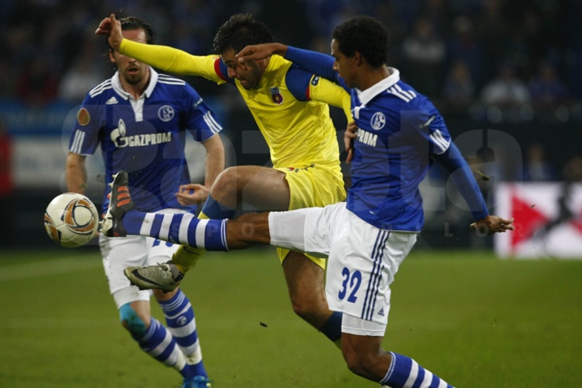 VIDEO Mai respirăm, dar greu » Calificarea Stelei se joacă peste două săptămîni » Citeşte aici cronica de la Schalke - Steaua 2-1, scrisă de Marius Mărgărit »