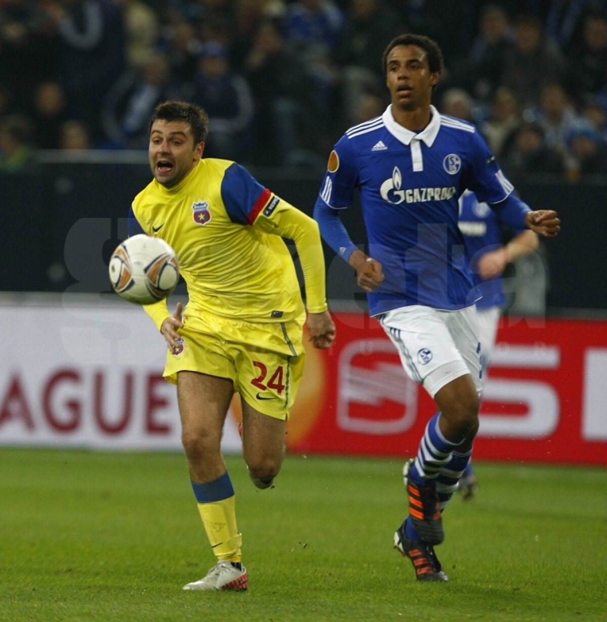 VIDEO Mai respirăm, dar greu » Calificarea Stelei se joacă peste două săptămîni » Citeşte aici cronica de la Schalke - Steaua 2-1, scrisă de Marius Mărgărit »