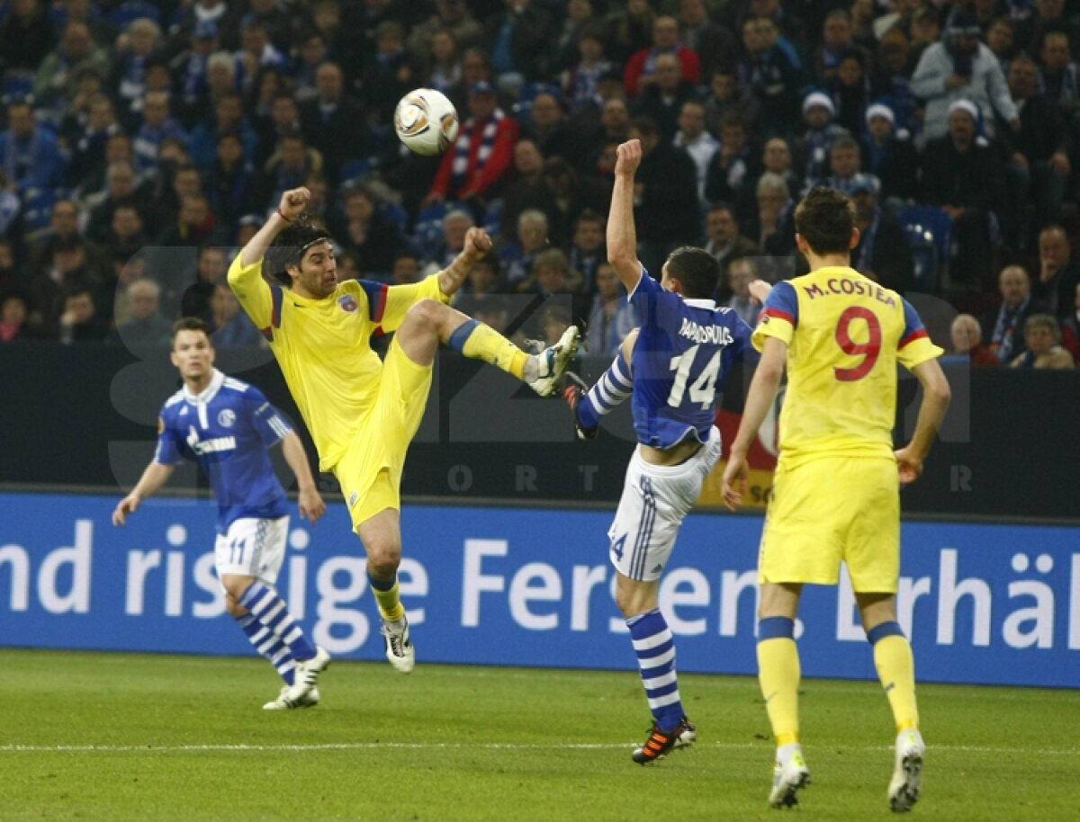 VIDEO Mai respirăm, dar greu » Calificarea Stelei se joacă peste două săptămîni » Citeşte aici cronica de la Schalke - Steaua 2-1, scrisă de Marius Mărgărit »