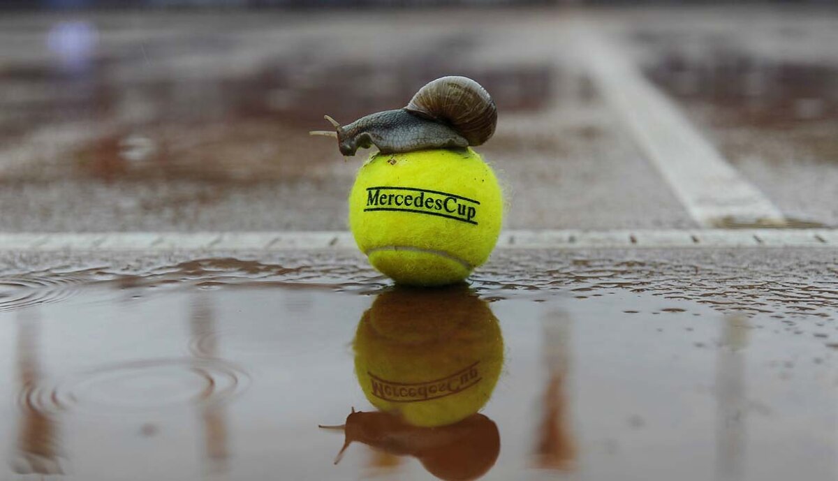 GALERIE FOTO Imaginile anului 2011 în tenis! O fotografie GSP se află printre ele