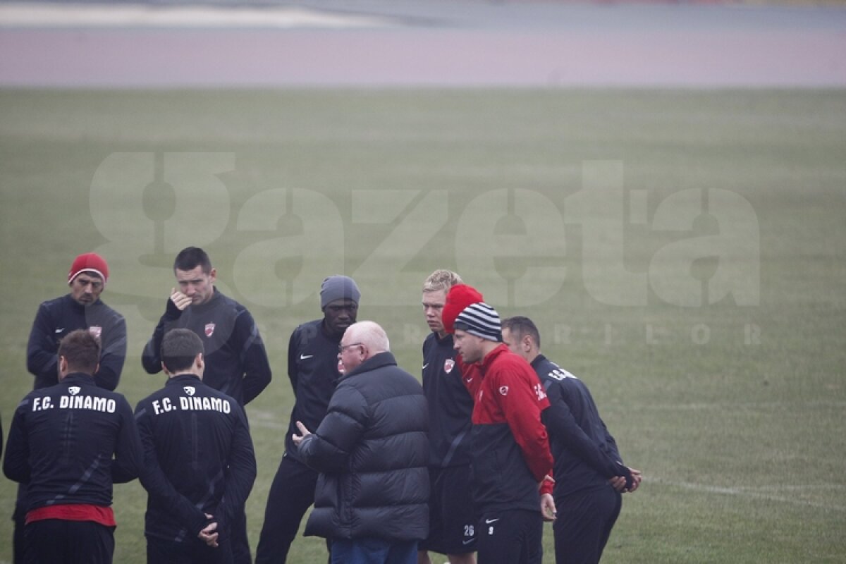 FOTO EXCLUSIV » "Cîinii" contraatacă la transferuri » Un fost campion european se antrenează cu Dinamo