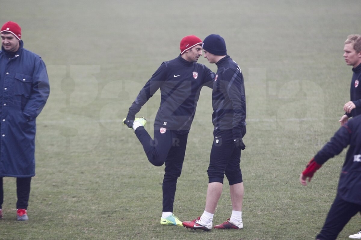FOTO EXCLUSIV » "Cîinii" contraatacă la transferuri » Un fost campion european se antrenează cu Dinamo