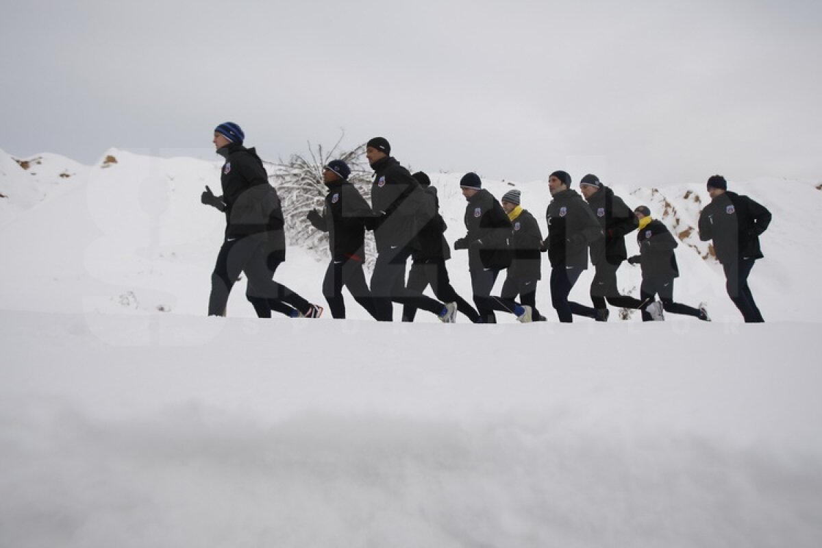 FOTO&VIDEO Steliştii înfruntă zăpada cu gîndul la Twente » "Gladiatorul" Bourceanu a fost cel mai energic ;)