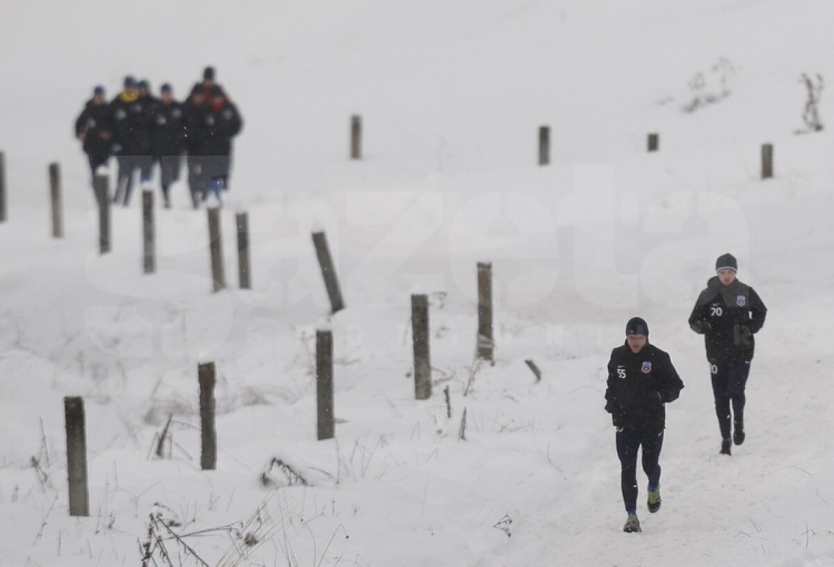 FOTO&VIDEO Steliştii înfruntă zăpada cu gîndul la Twente » "Gladiatorul" Bourceanu a fost cel mai energic ;)