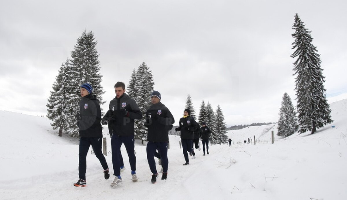 FOTO&VIDEO Steliştii înfruntă zăpada cu gîndul la Twente » "Gladiatorul" Bourceanu a fost cel mai energic ;)