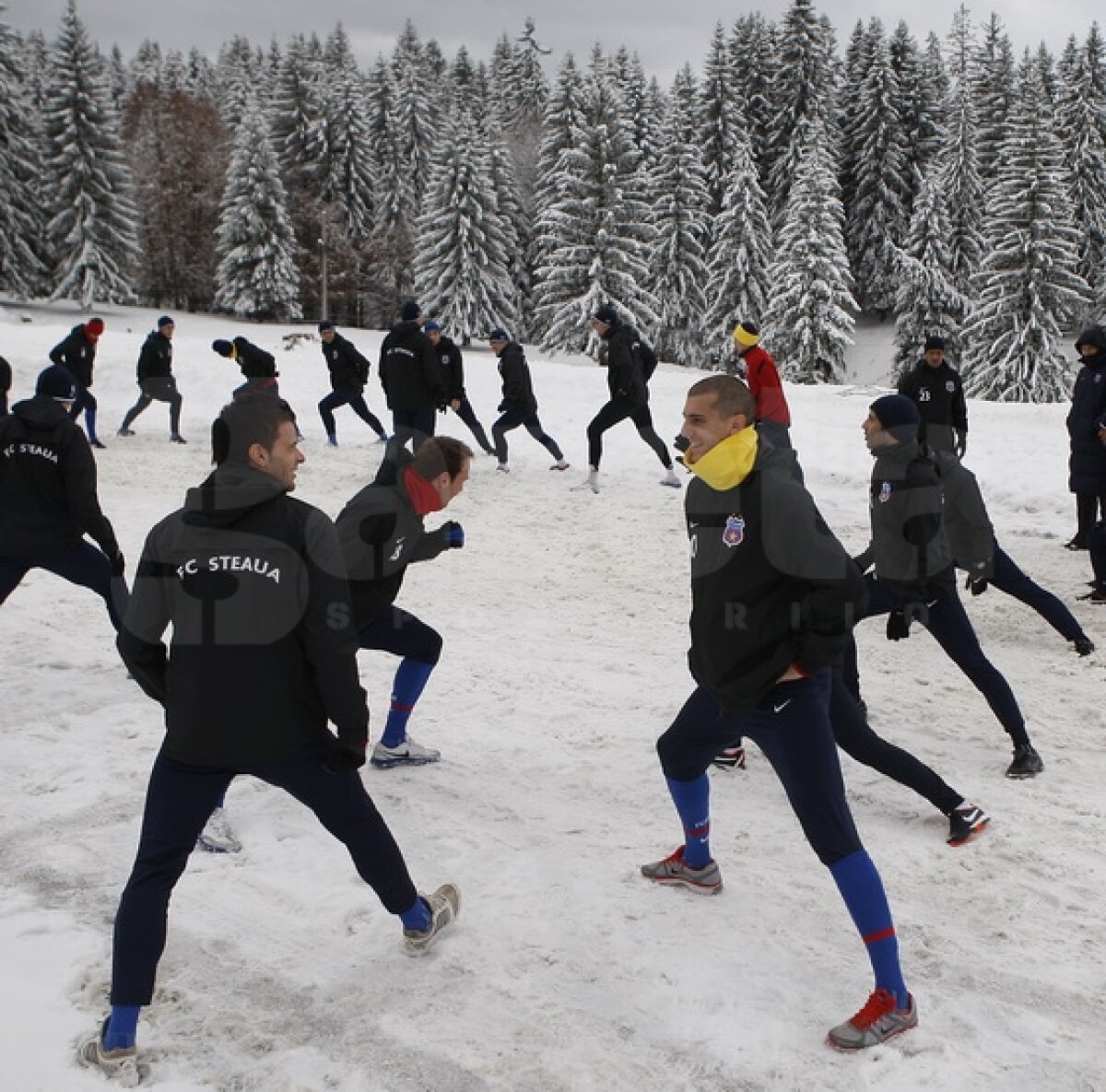 FOTO&VIDEO Steliştii înfruntă zăpada cu gîndul la Twente » "Gladiatorul" Bourceanu a fost cel mai energic ;)