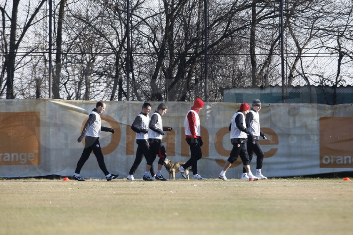 FOTO Dinamoviştii au trecut la minge » Curtean şi Strătilă au schimbat prima dată pase cu noii colegi