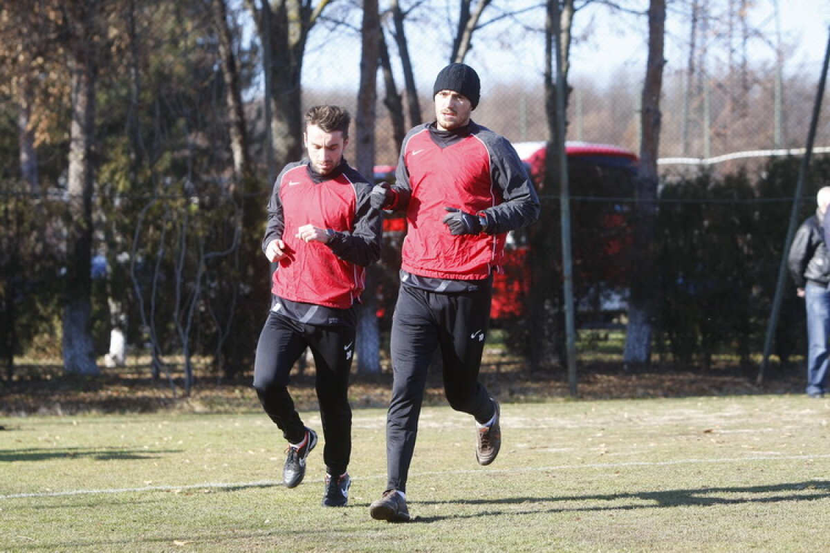 FOTO Borcea a pus tunurile pe Alexe: "De un an n-ai mai trecut nici de Tyson!" :D