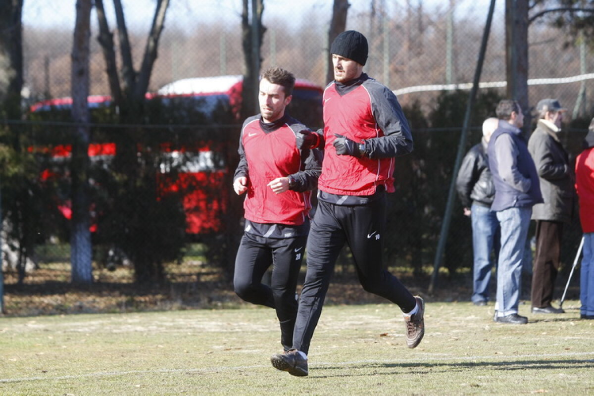 FOTO Borcea a pus tunurile pe Alexe: "De un an n-ai mai trecut nici de Tyson!" :D