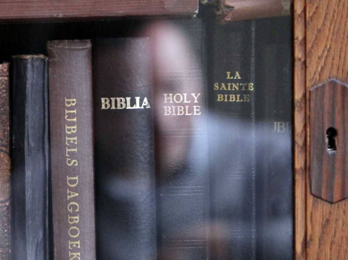 Paradisul unui bărbat paralizat » Cum ar putea arăta lumea lui Mihai Neşu peste 10 ani