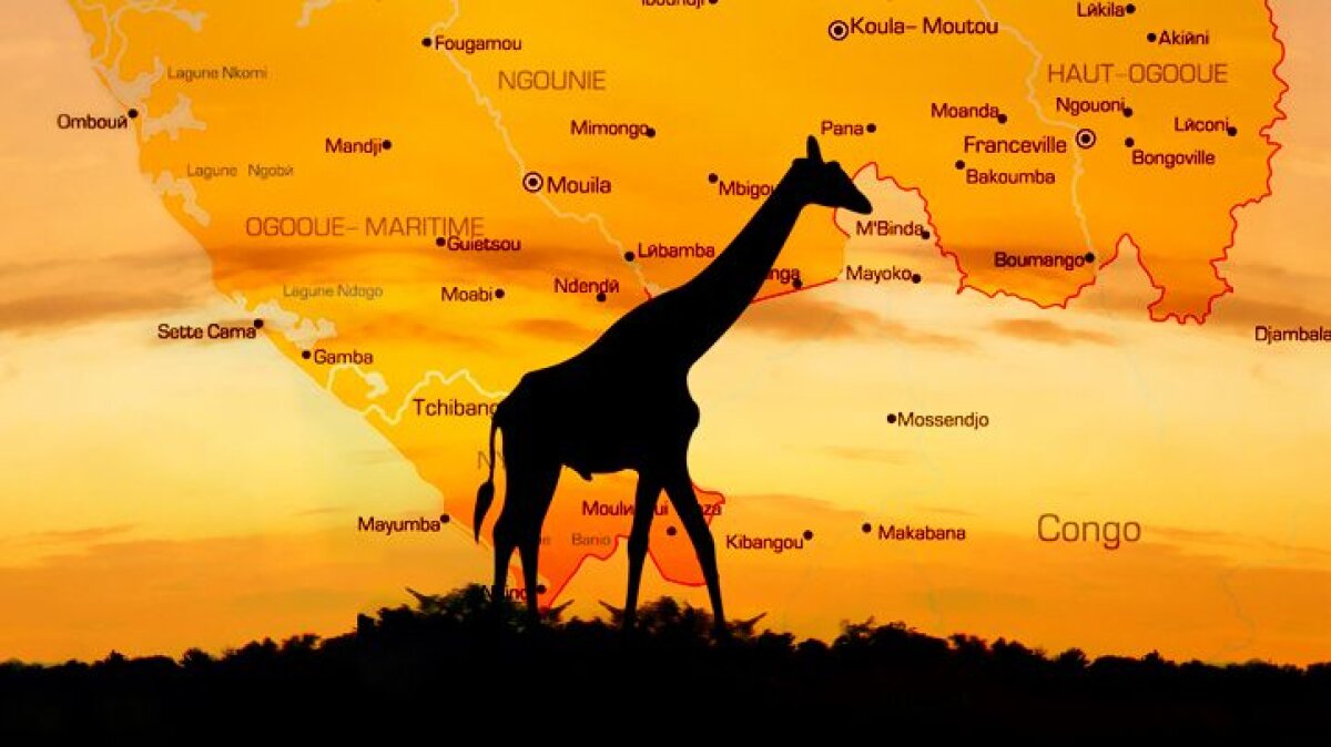 Un fotbalist mitraliat e marcat pe viaţă după tragedia de la ediţia din 2010 » Africa AK 47