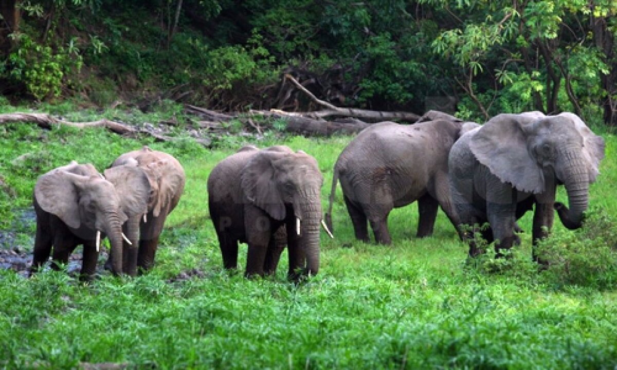 GALERIE FOTO Viaţa în Tanzania şi Zanzibar! » Hagi e iubit chiar şi aici