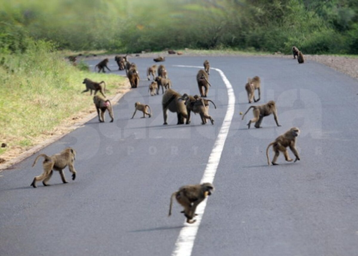 GALERIE FOTO Viaţa în Tanzania şi Zanzibar! » Hagi e iubit chiar şi aici