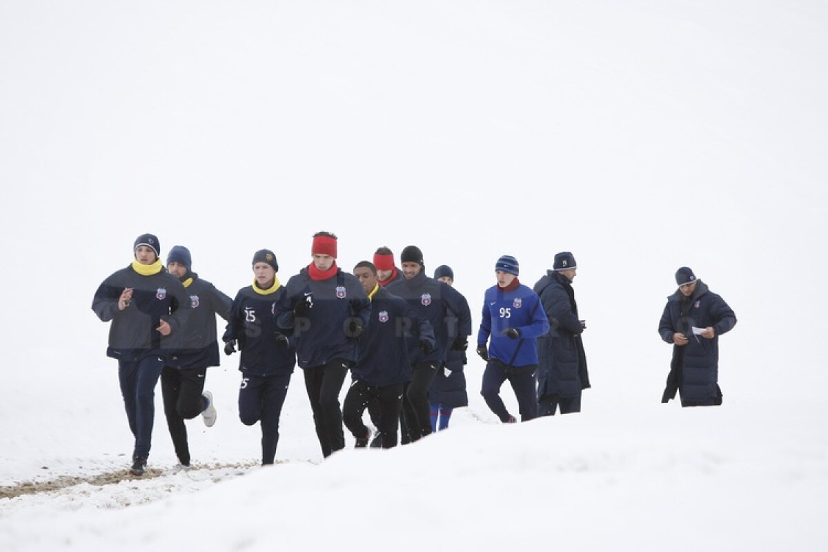 FOTO Dacă voi nu mă vreţi, eu vă vreau » Geraldo face declaraţii de dragoste Stelei