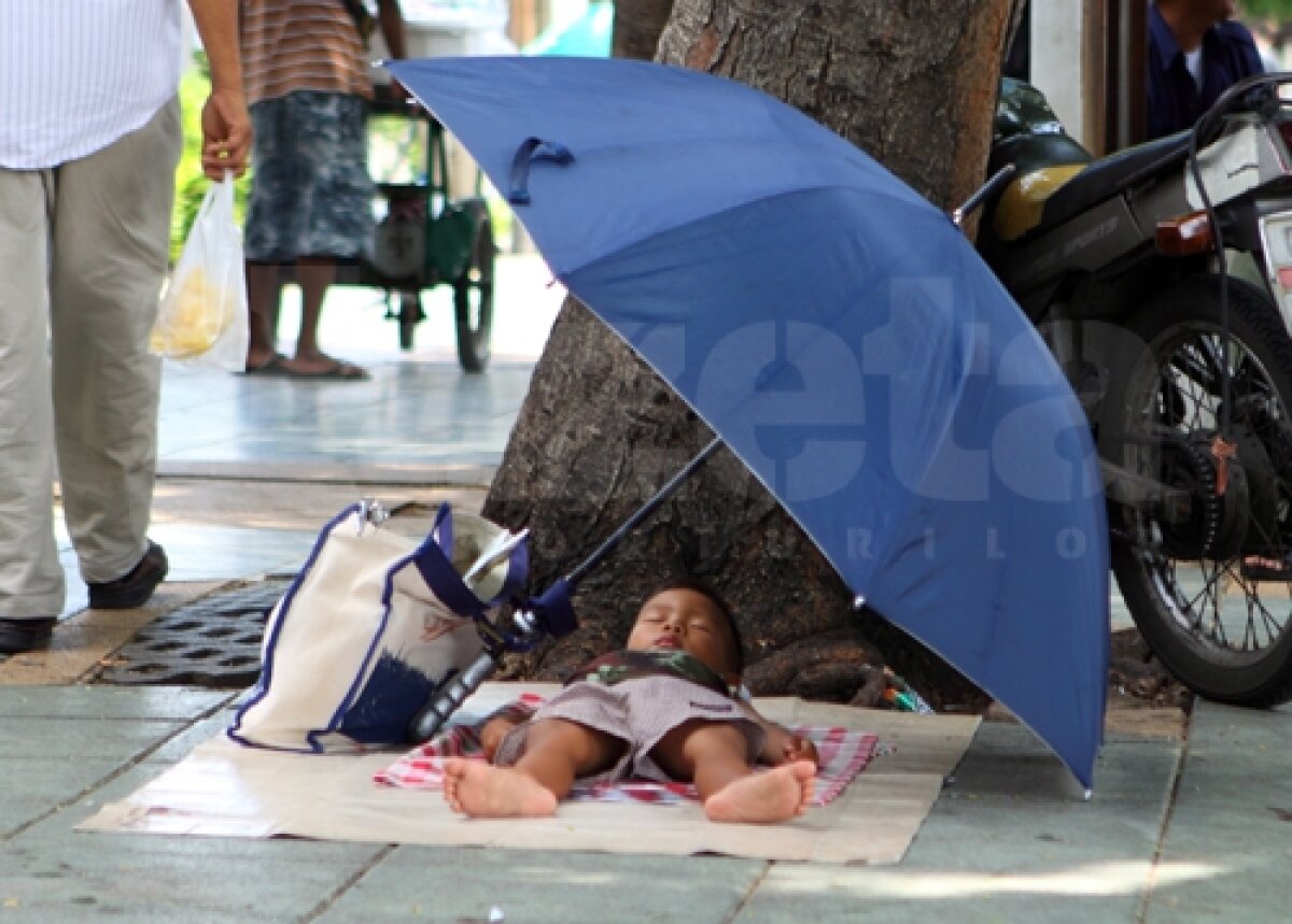 Gazeta continuă poveştile despre imaginea lui Hagi peste tot în lume » Oare şi elefantul a auzit de Hagi?