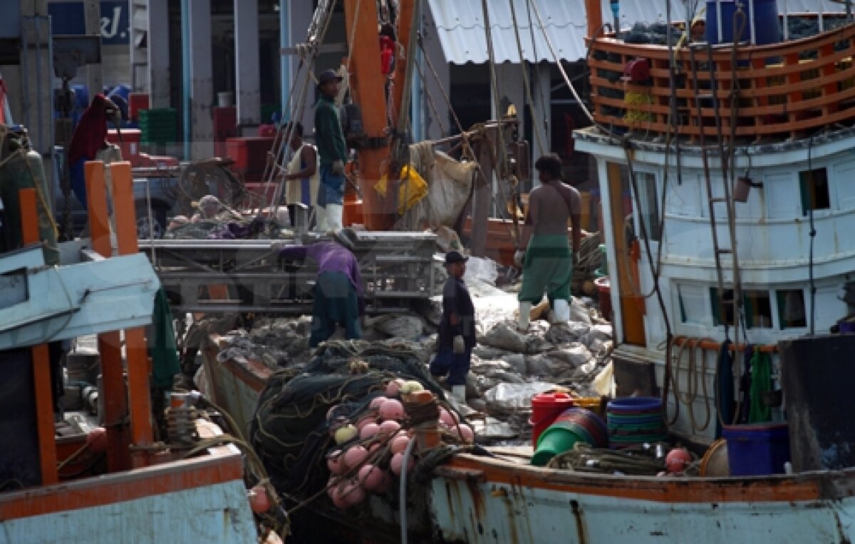 Gazeta continuă poveştile despre imaginea lui Hagi peste tot în lume » Oare şi elefantul a auzit de Hagi?