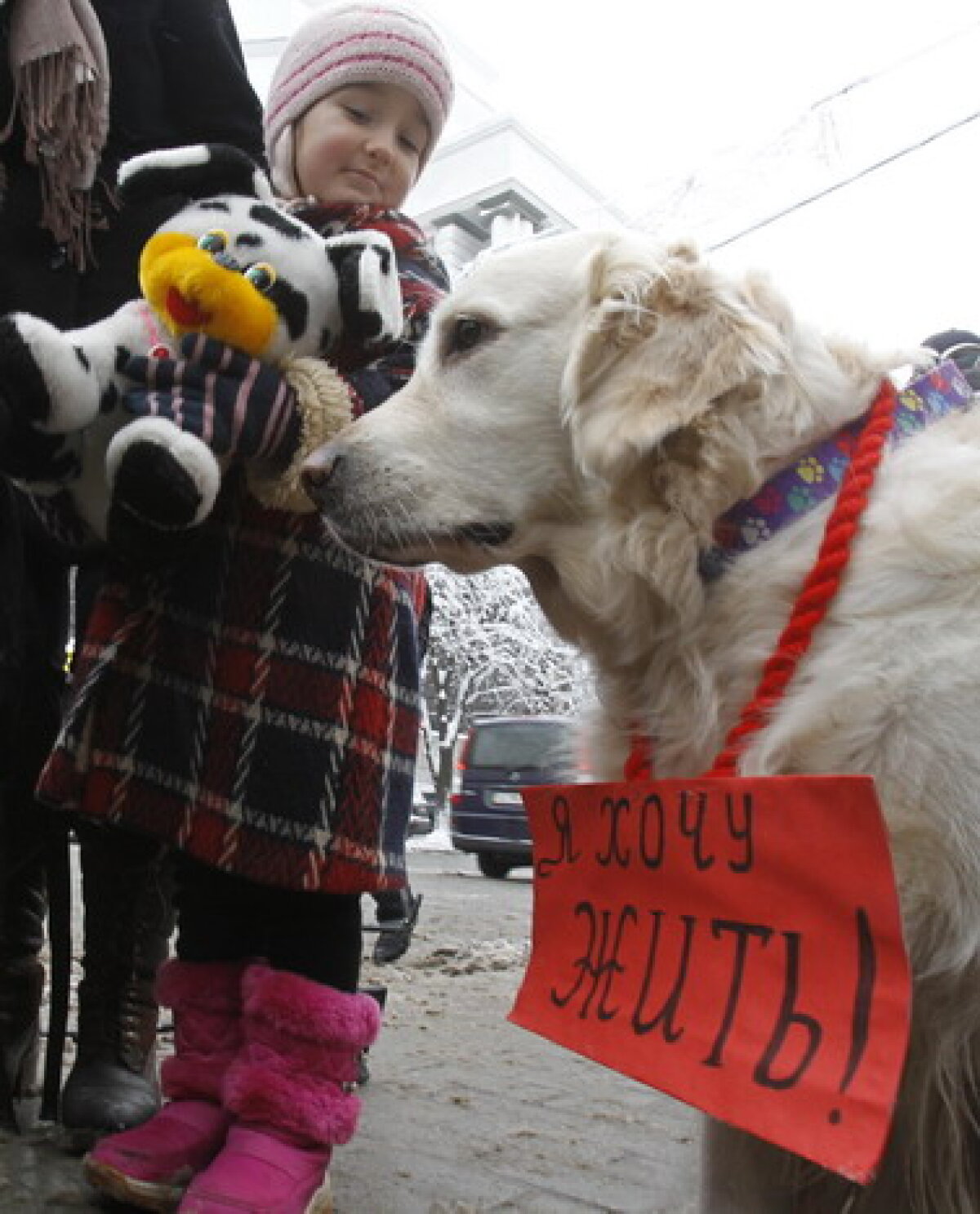 GALERIE FOTO » Protest la Kiev: Guvernul vrea să eutanasieze cîinii de pe străzi în vederea Euro 2012