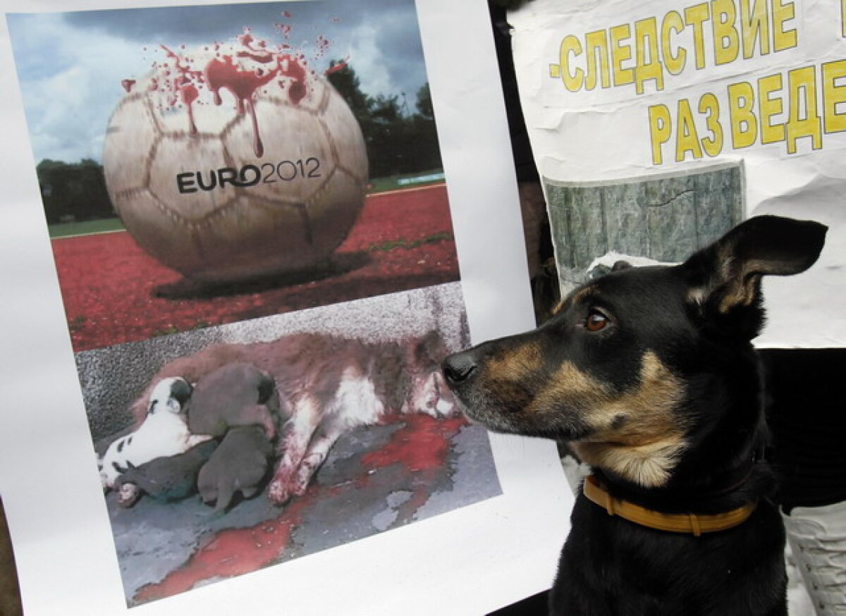 GALERIE FOTO » Protest la Kiev: Guvernul vrea să eutanasieze cîinii de pe străzi în vederea Euro 2012