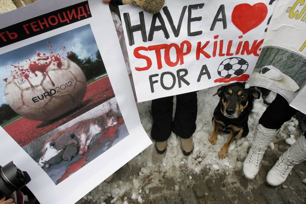 GALERIE FOTO » Protest la Kiev: Guvernul vrea să eutanasieze cîinii de pe străzi în vederea Euro 2012