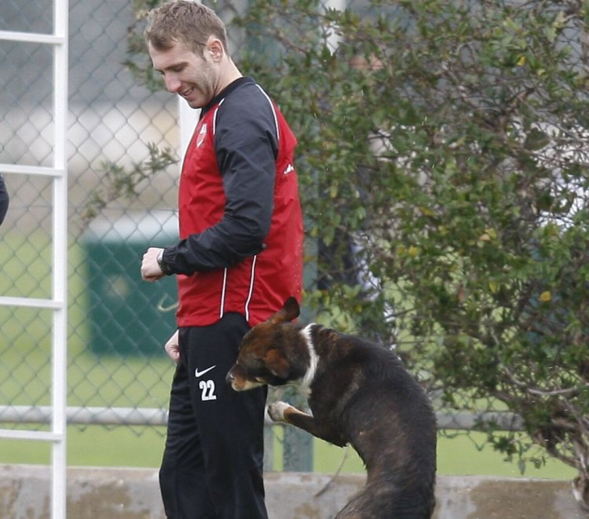 Cîinii l-au atacat în Antalya pe fostul stelist Strătilă şi i-au mîncat ghetele :)