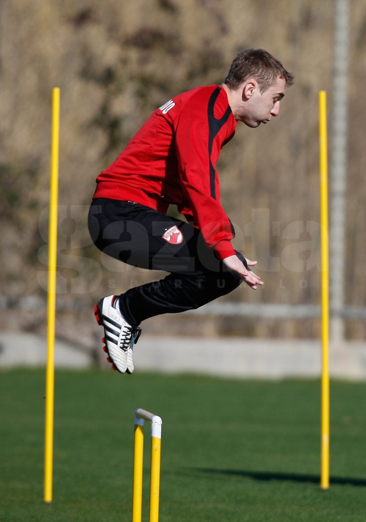 GALERIE FOTO Antrenament la baionetă în cantonamentul cîinilor