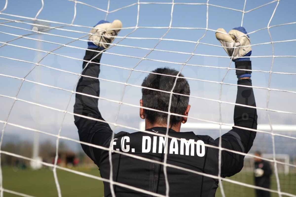 GALERIE FOTO Antrenament la baionetă în cantonamentul cîinilor