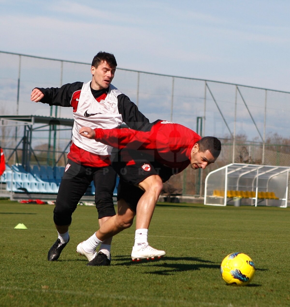 GALERIE FOTO Antrenament la baionetă în cantonamentul cîinilor