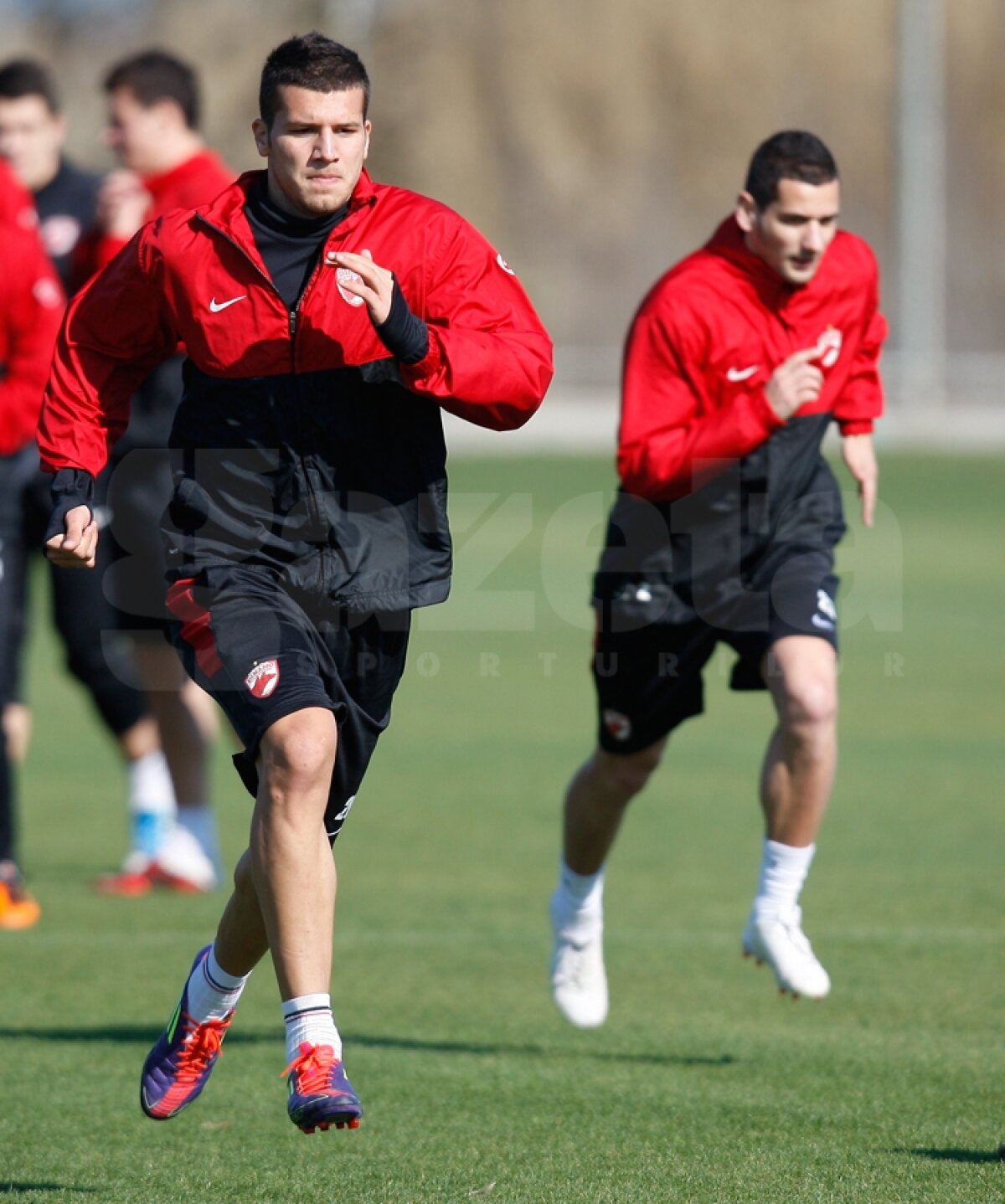 GALERIE FOTO Antrenament la baionetă în cantonamentul cîinilor