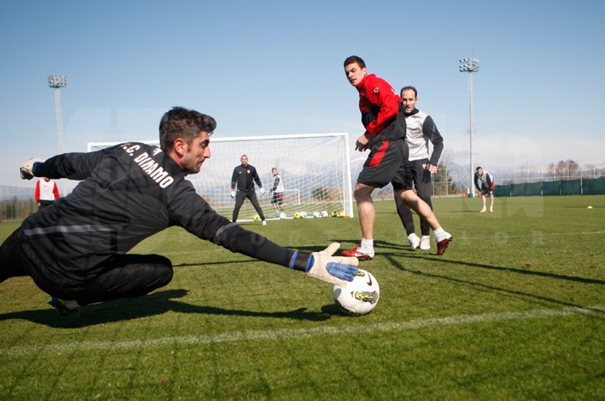 GALERIE FOTO Antrenament la baionetă în cantonamentul cîinilor