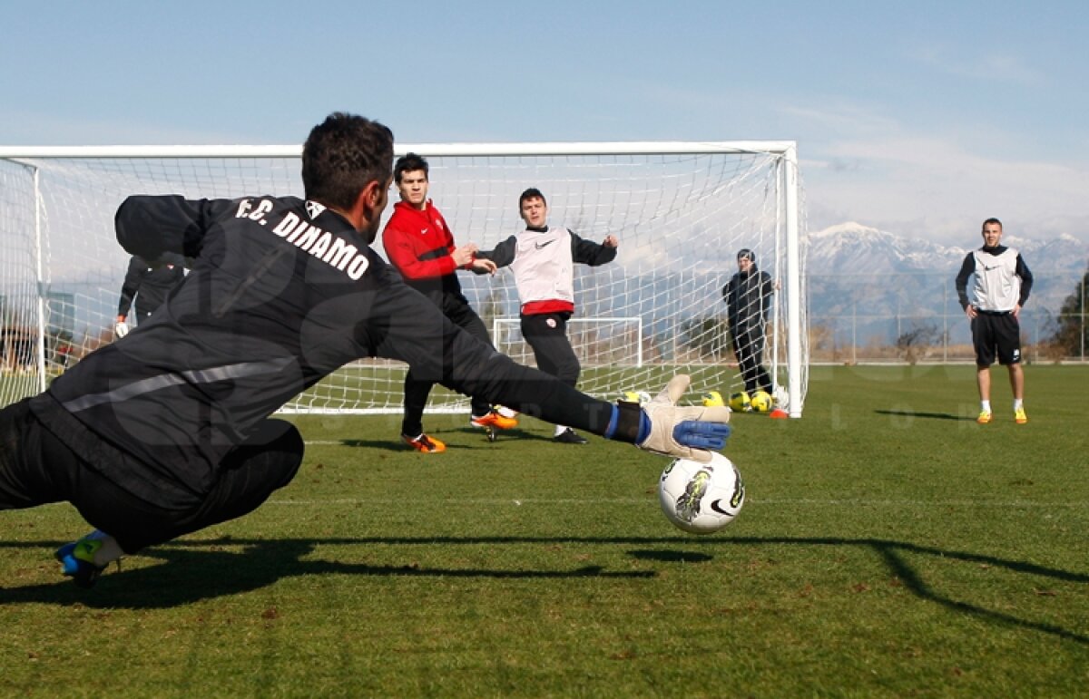 GALERIE FOTO Antrenament la baionetă în cantonamentul cîinilor