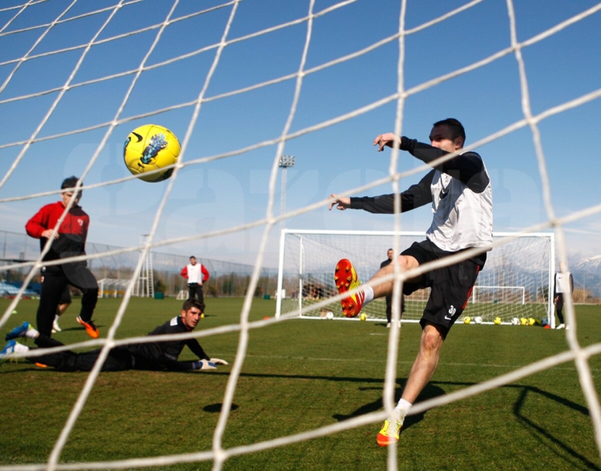 GALERIE FOTO Antrenament la baionetă în cantonamentul cîinilor