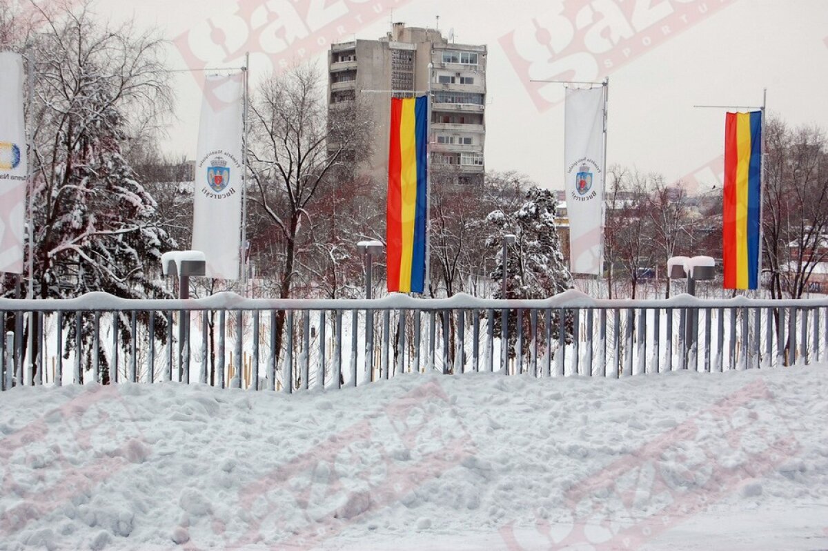 GALERIE FOTO Ice Age Arena » În sfîrşit avem teren perfect! :D