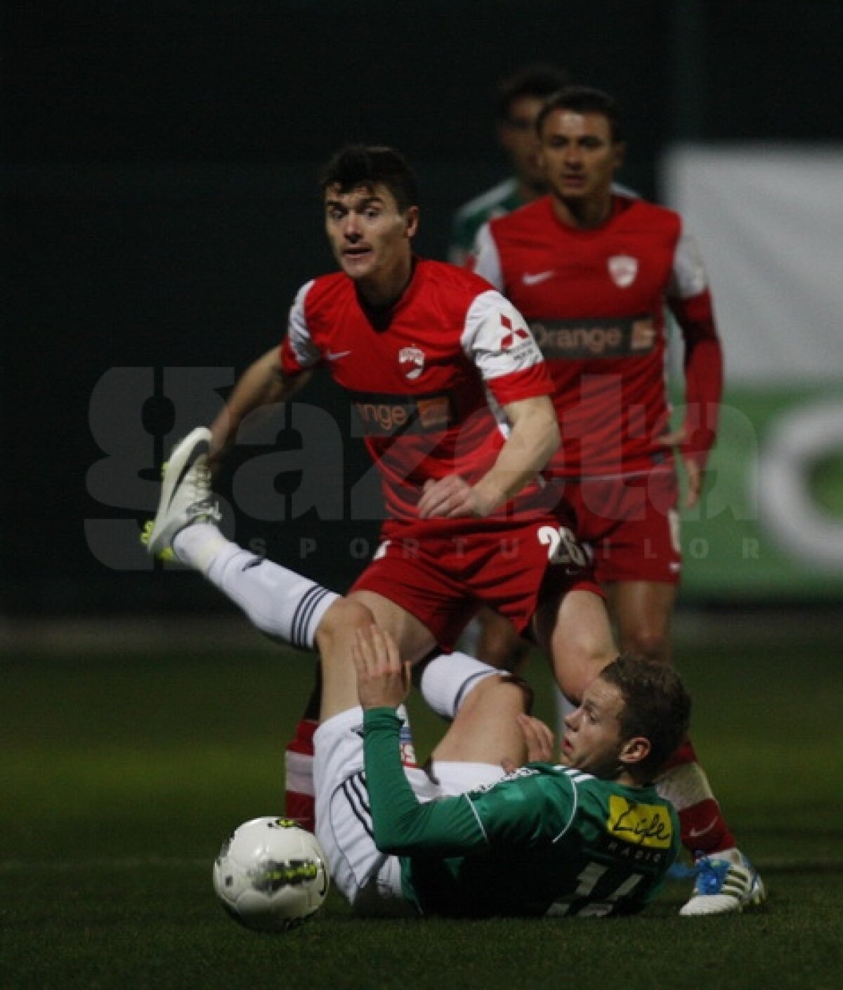 Dinamo a terminat la egalitate cu SV Ried, 1-1