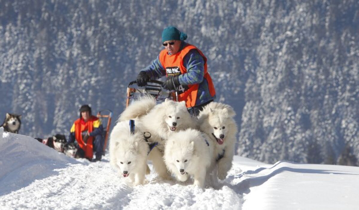Există români pe care doar gerul şi ninsorile nesfîrşite îi fac fericiţi » Colţ Alb