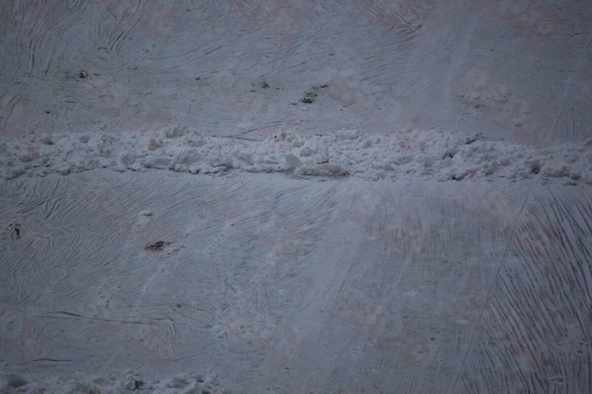 GALERIE FOTO / Probleme pentru Steaua » Gazonul de pe Naţional Arena arată GROAZNIC!