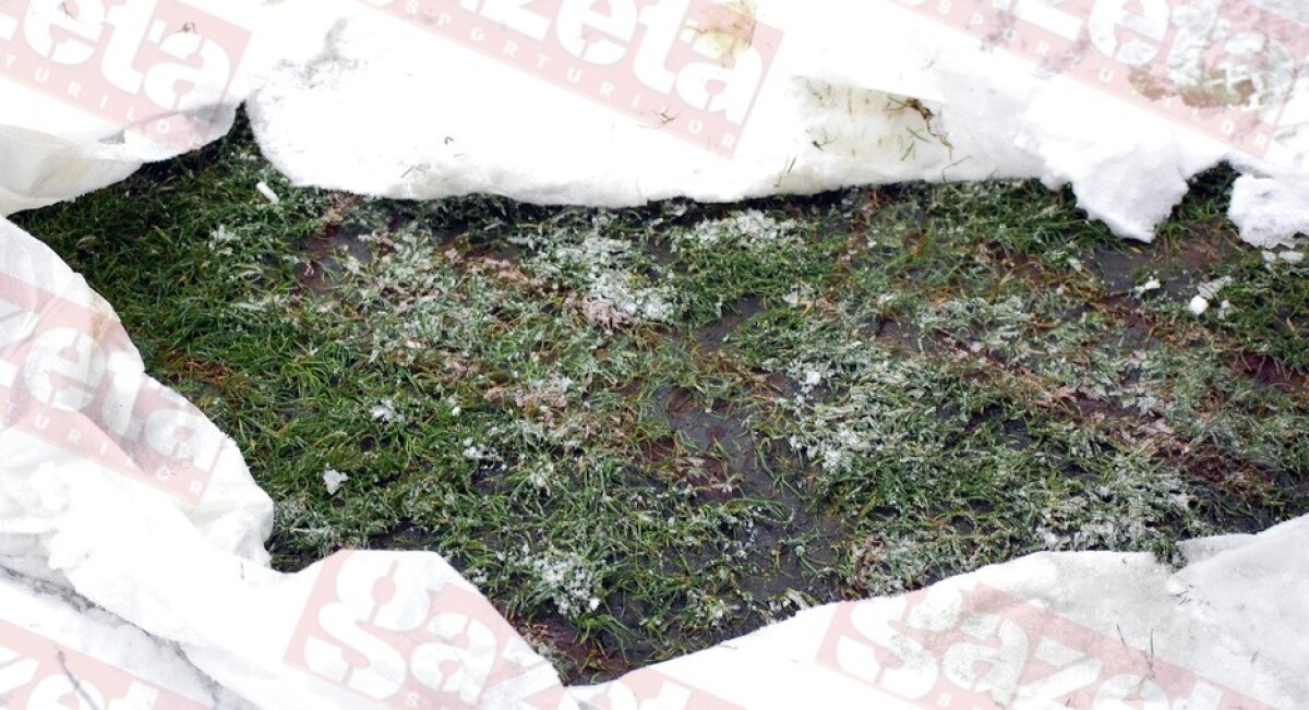 Nu încercaţi şi cu dinamită? "Cum să distrugi gazonul de pe Naţional Arena", ghid complet