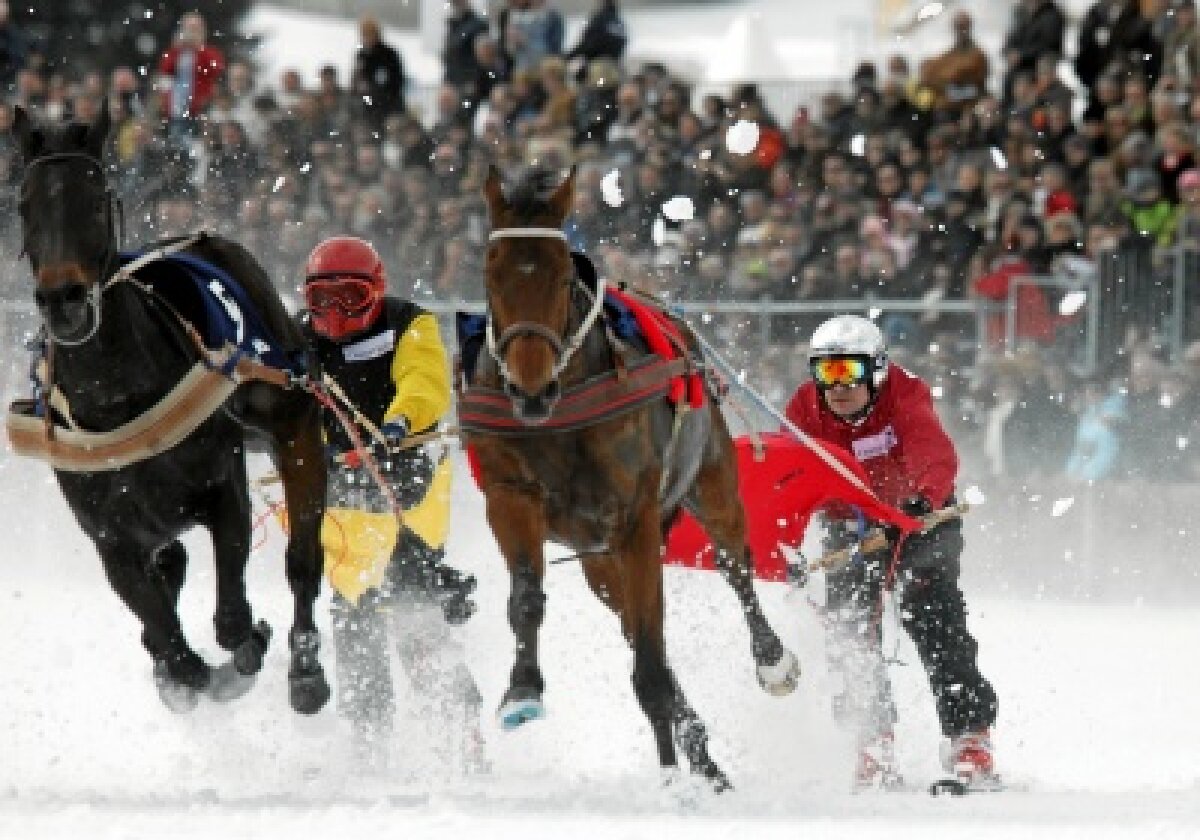 FOTO! Cum spulberi metri de zăpadă: la skijoring, tras de Bentley!