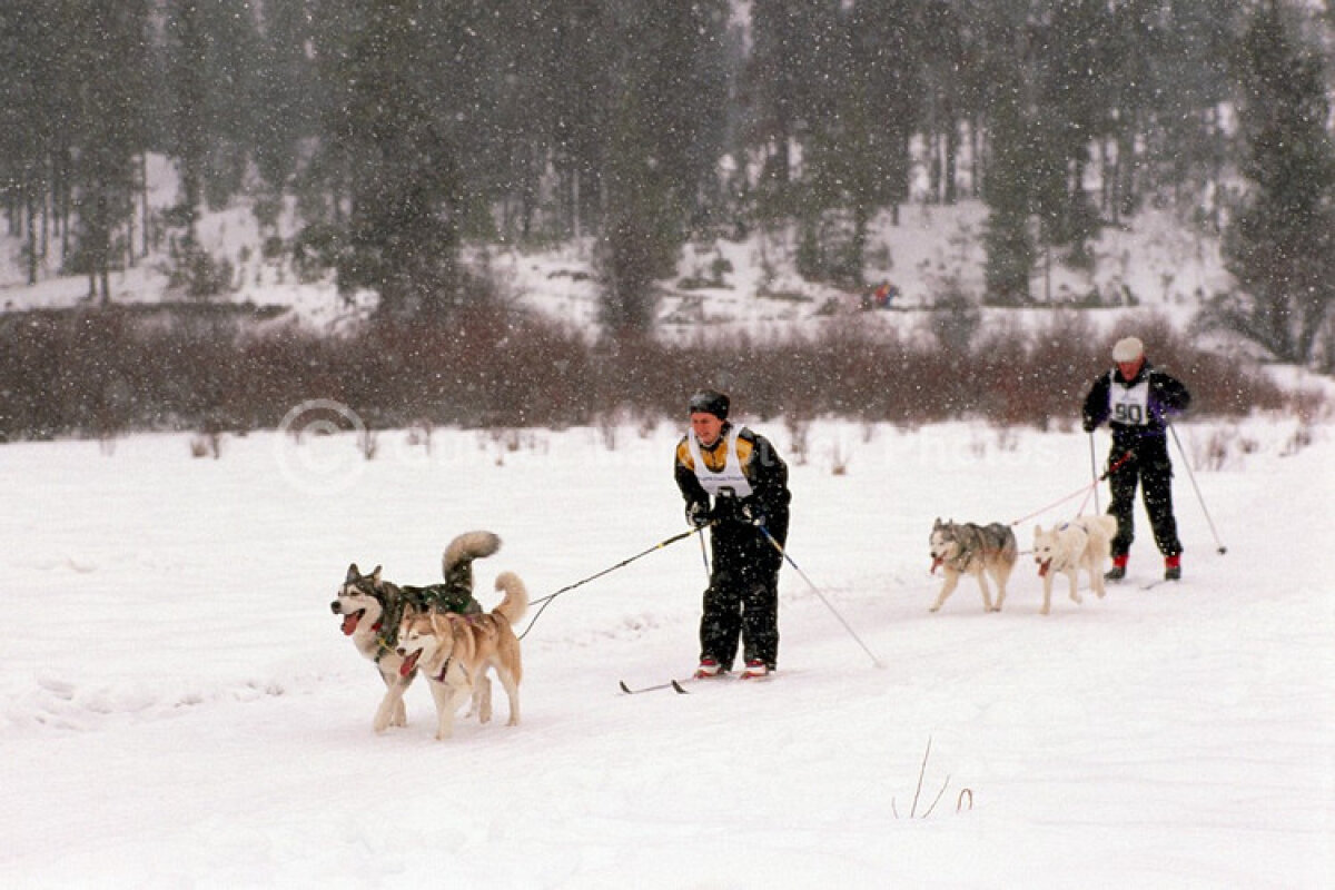 FOTO! Cum spulberi metri de zăpadă: la skijoring, tras de Bentley!