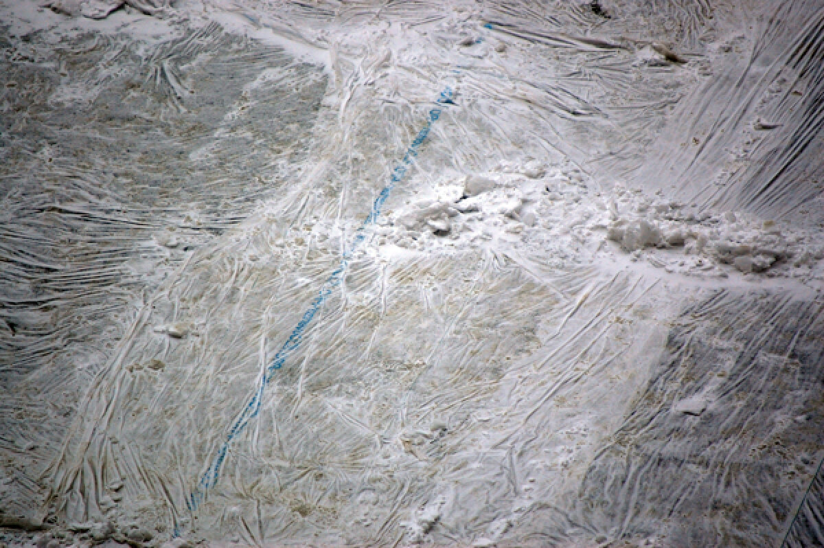 Steliştii merg să inspecteze Naţional Arena » Uite ce îi aşteaptă!