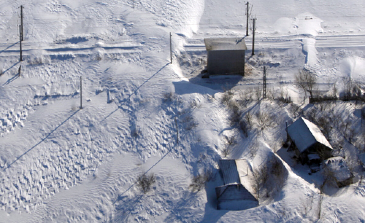 FOTO Din Antartica la soare » Cei 13 oameni din trupa Oţelului au scăpat din trenul groazei