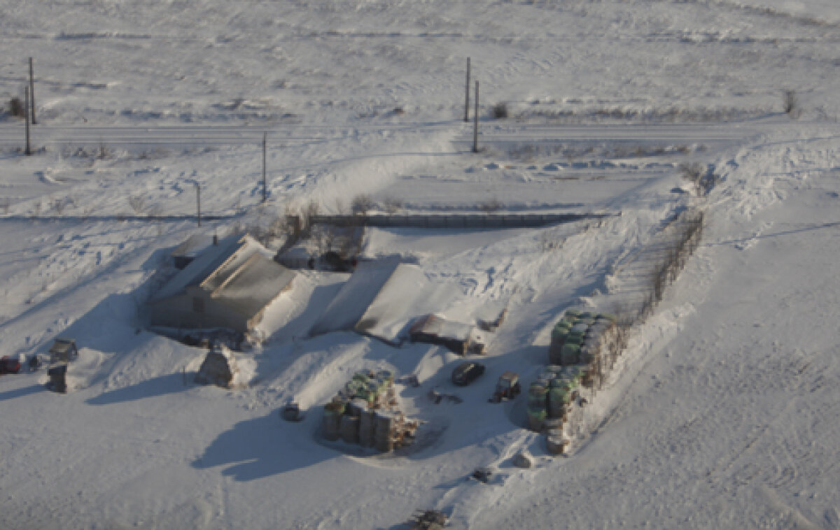 FOTO Din Antartica la soare » Cei 13 oameni din trupa Oţelului au scăpat din trenul groazei