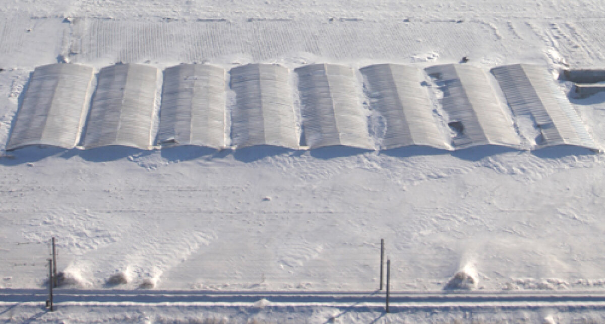 FOTO Din Antartica la soare » Cei 13 oameni din trupa Oţelului au scăpat din trenul groazei