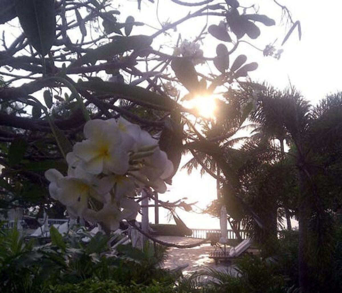 FOTO Floare de Asia » Sorana Cîrstea joacă azi în semifinalele turneului de la Pattaya