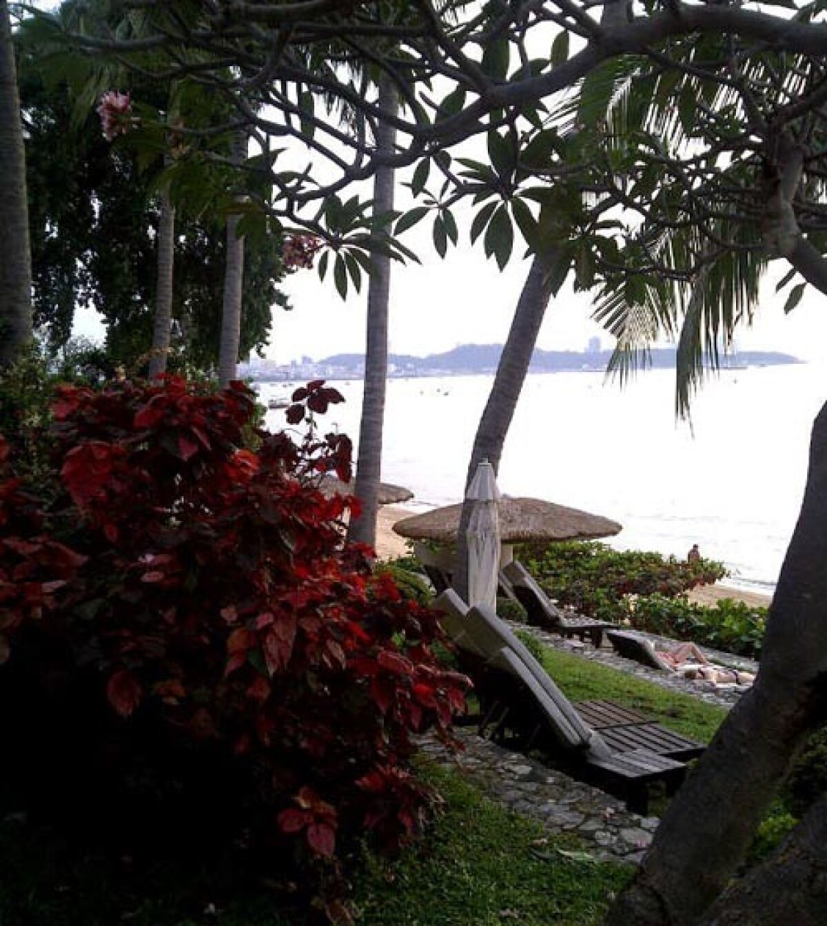 FOTO Floare de Asia » Sorana Cîrstea joacă azi în semifinalele turneului de la Pattaya