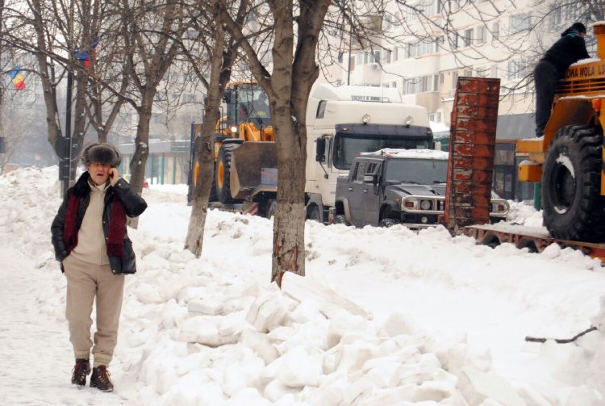 Revoluţie la Mogoşoaia! Jucătorii Stelei nu au vrut să înnopteze în cantonament